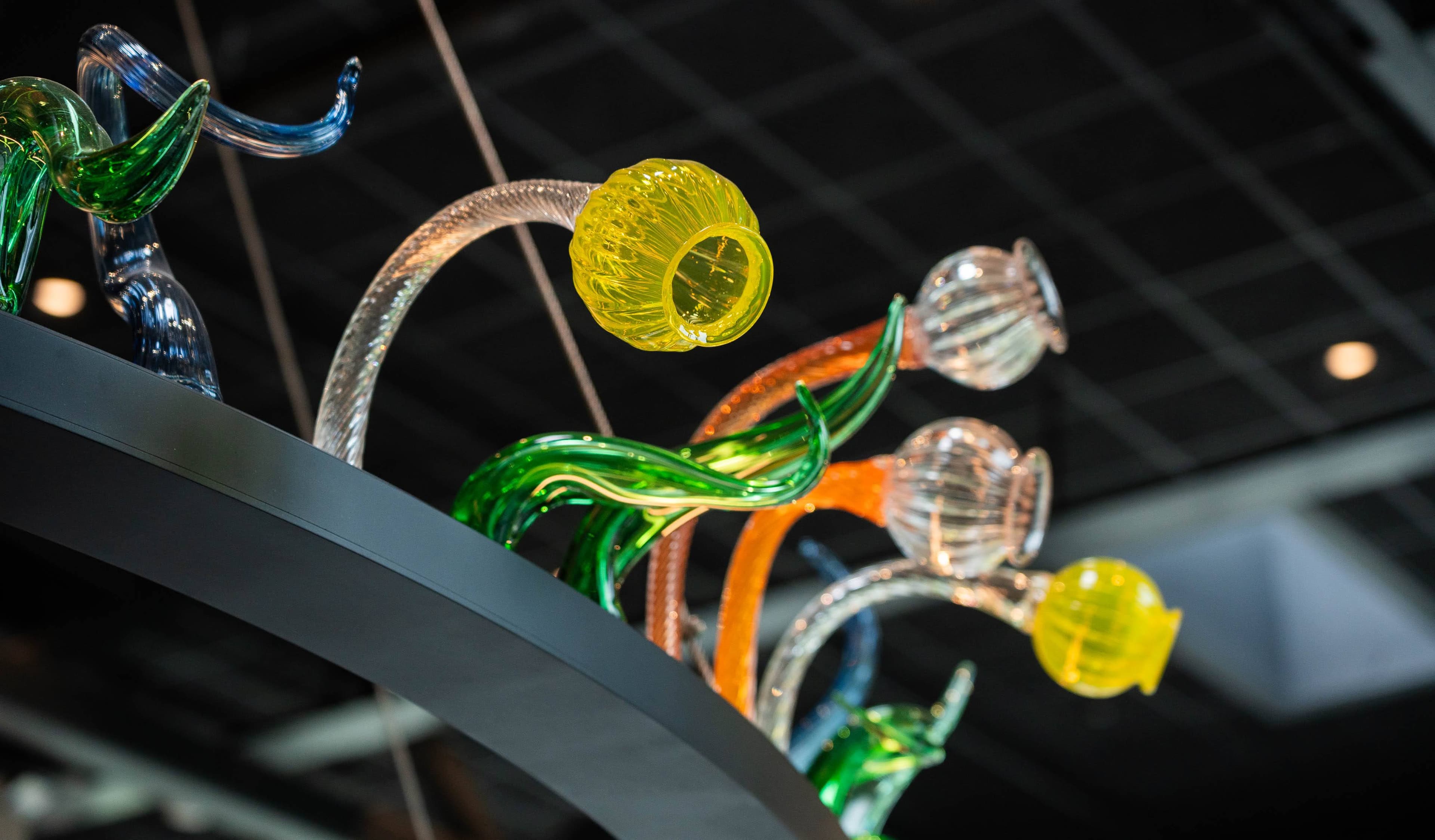 Omvisning i Normoria