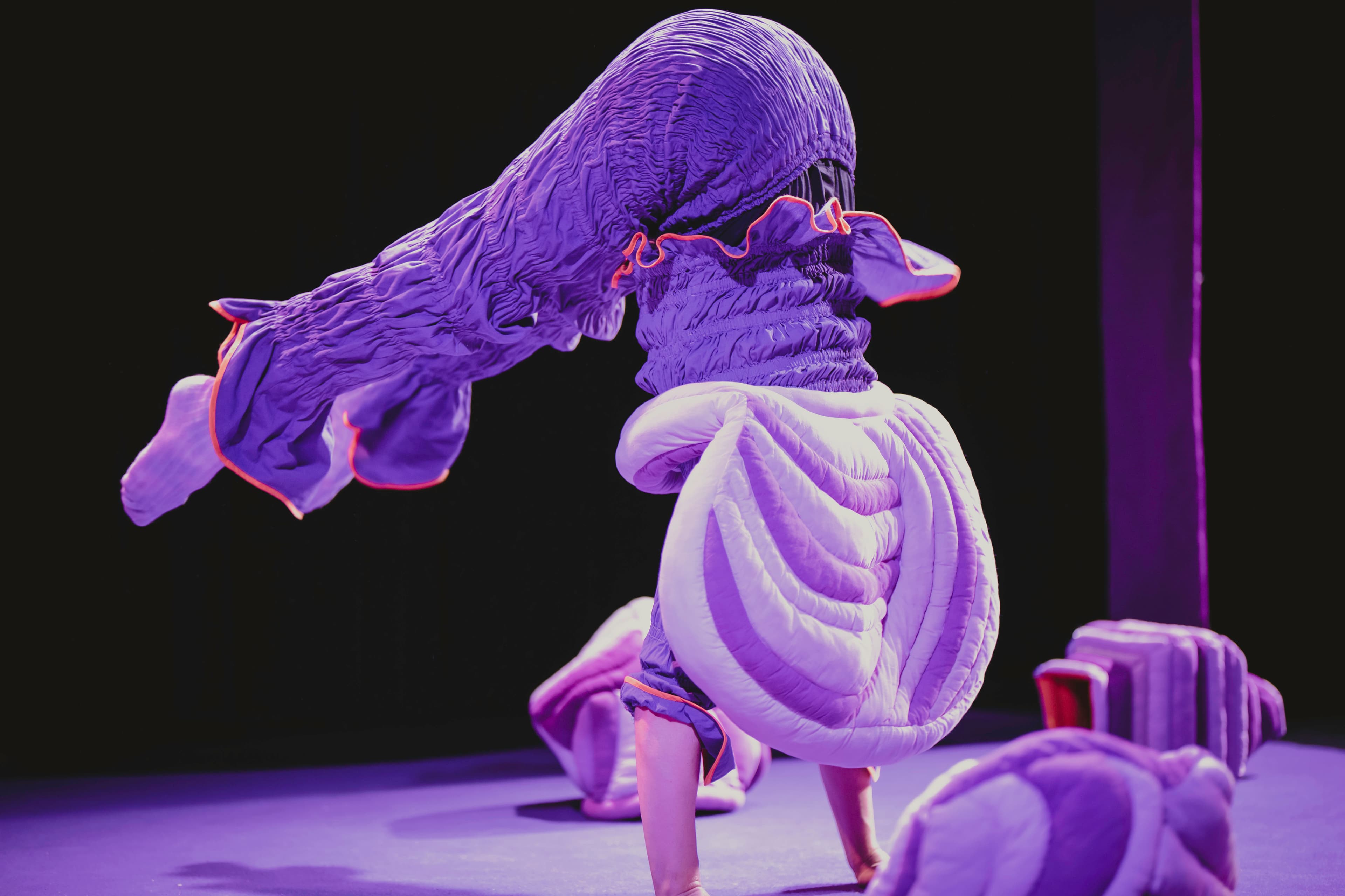 IN2IT: Himstregimser og andre duppeditter