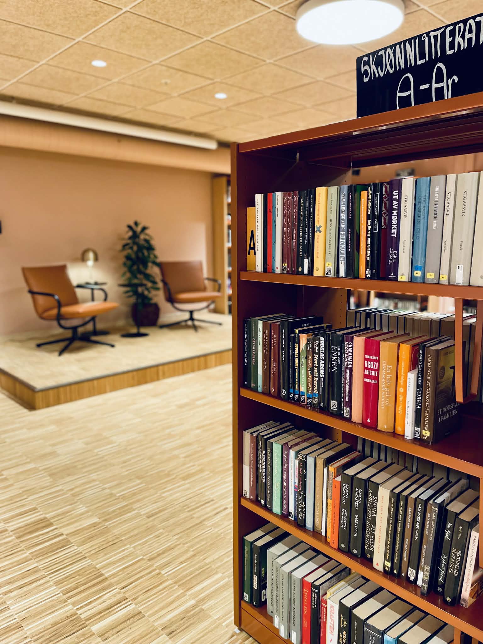 Opera på biblioteket